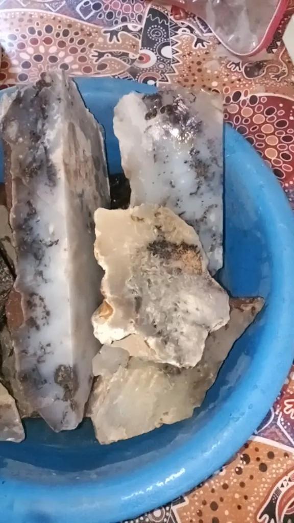 Product Introduction of fossFossil kelor serat emas 1