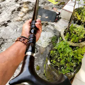 Tongkat Jalan Kayu Kelor Hitam 1mtr Alat Praktis Bahan Kayu Kelor Panjang 1 Meter Warna Hitam Original