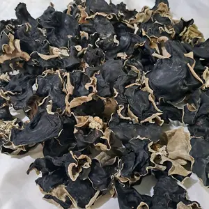 Jamur Kuping Kering Super Grade A Bahan masakan  Food Kering