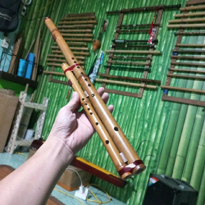  Sáo mèo kép biểu diễn hệ việt 