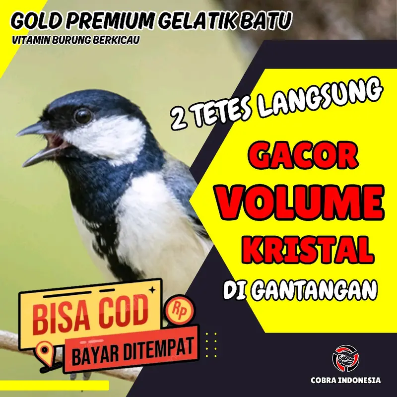 Vitamin Burung Gelatik Batu Gacor 2