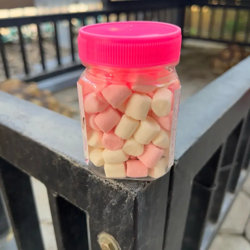 50G SNACK MARSHMALLOW SUGAR GLIDER HAMSTER LANDAK TUPAI TERBANG KUCING 6