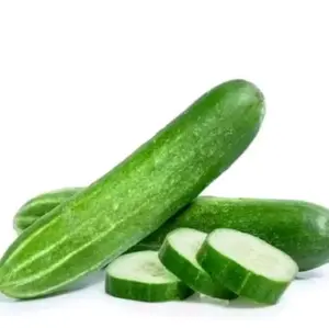 Benih Timun lalap 25 Butir menurunkan Kolesterol Sayuran timun Hijau Segar untuk Kesehatan Anda