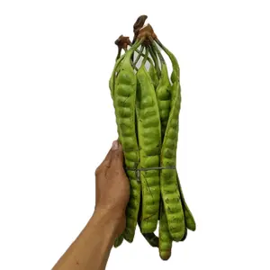 PETE RIJEK SORTIRAN APA ADANYA ISI 10 PAPAN KUALITAS CAMPURAN/ PROMO PETE MURAH/ PETE WONOGIRI/ SAYURAN SEGAR/ Kecombrang