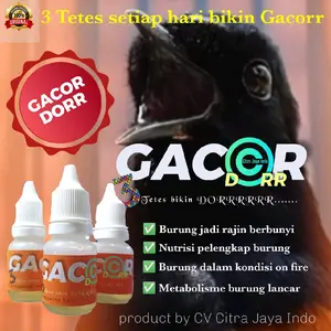 Gacor Dorr vitamin burung bikin Gacorr