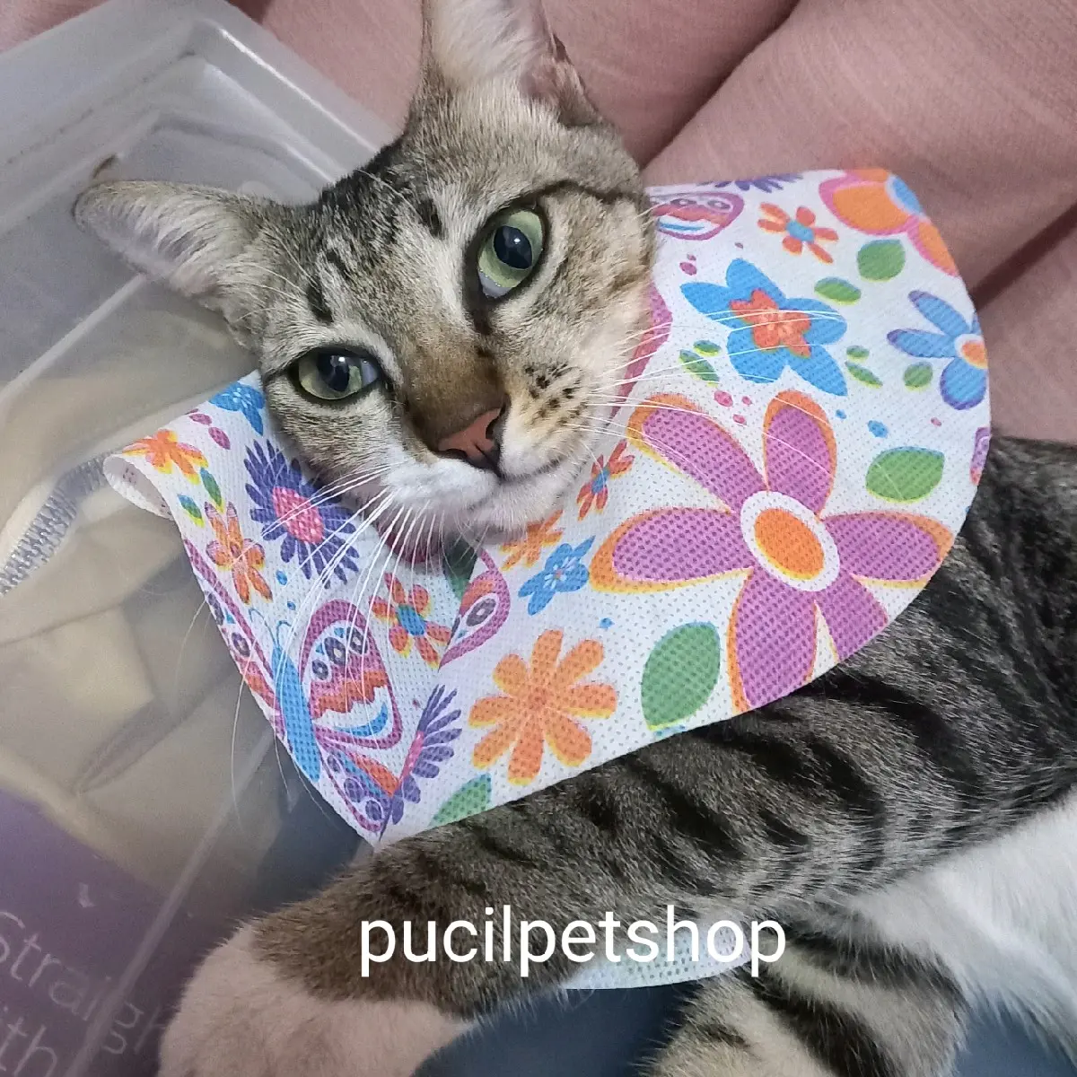 Collar Kain Kucing Kitten Aman Nyaman Bagi Kucing Collar Kucing Collar Kitten Corong Kucing Kerah Kucing Pencegah Kucing Menjilati Luka atau Obat