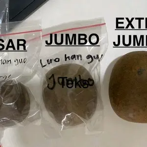 LOHANKUO buah besar LO HAN KUO LOHANGUO BUAH BESAR  Herbal Alami untuk kesehatan tenggorokan