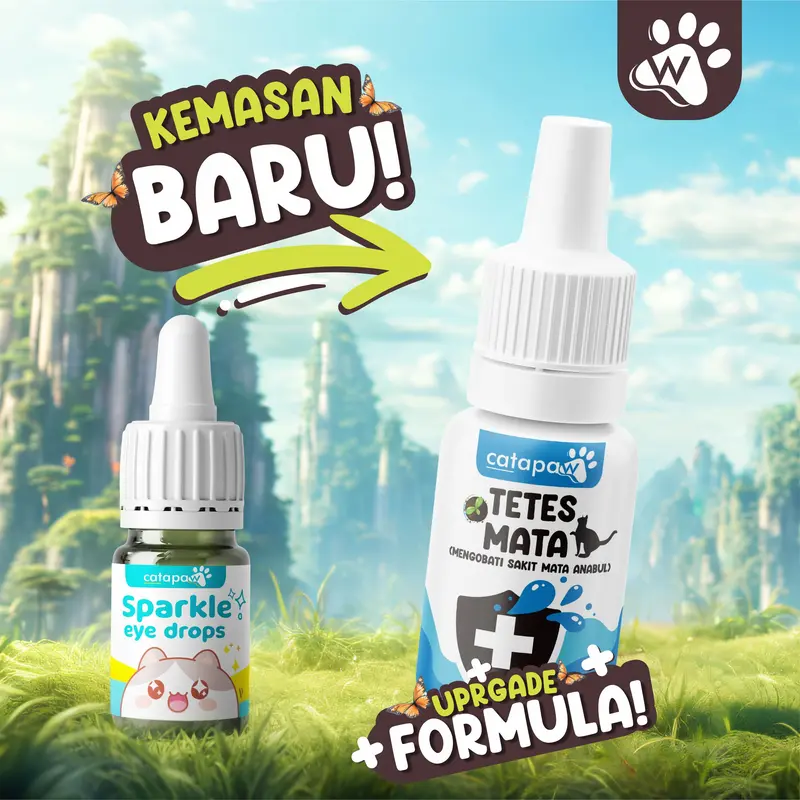 Catapaw Obat Tetes Mata Kucing Anti Infeksi Belekan dan Iritasi obat  mata 4