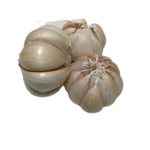 1kg Bawang Putih penyedap masakan udang kuah