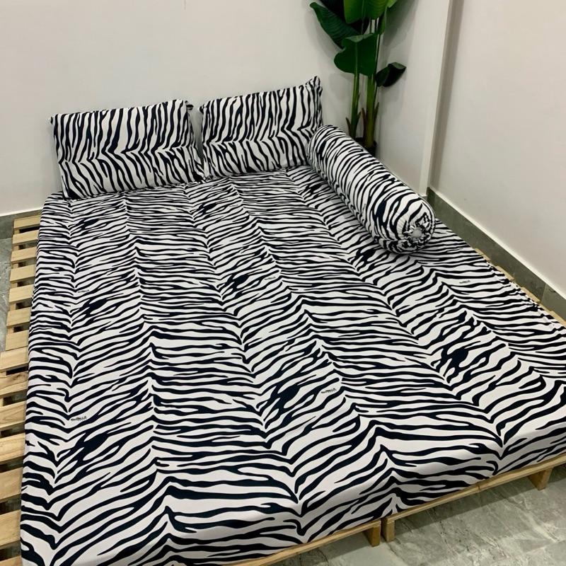 Bộ Drap Thun Lạnh Hàn Quốc Mẫu Ngựa Vằn Mềm Mát Chất Dày Dặn 4 Món gồm 1 Drap 2 Gối Nằm 1 Gối Ôm Chuẩn Bọc Nệm Cao Dưới 20cm