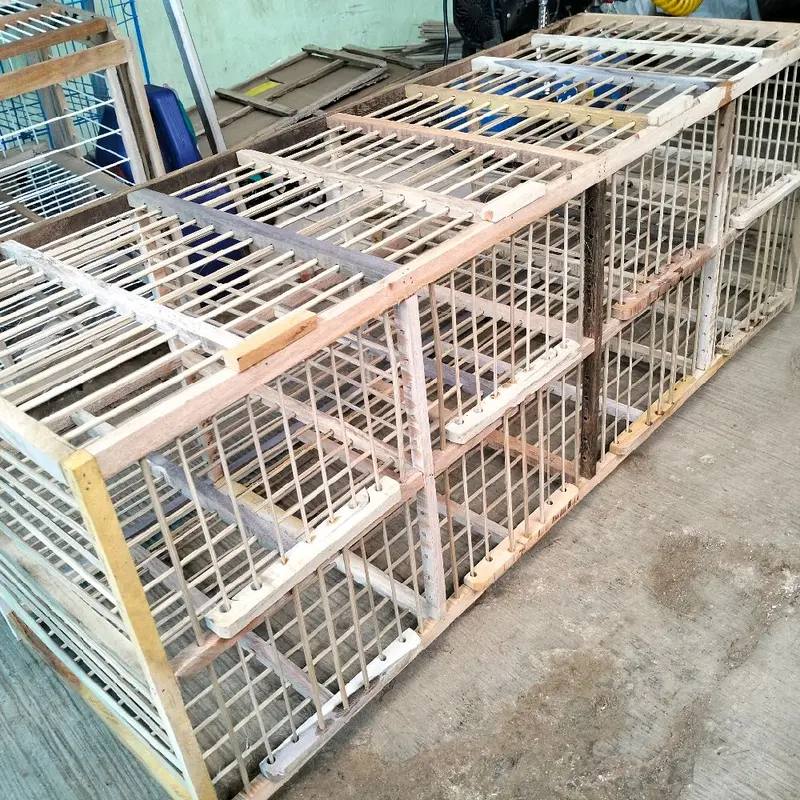 AMBRUKAN DONGDANG BURUNG MERPATI 3 PASANG 6 PINTU DONDANG MERPATI DARA AMBRUKAN BELUM DI RAKIT SANGKAR KANDANG DONDANG BURUNG dongdang  pintu  4 0