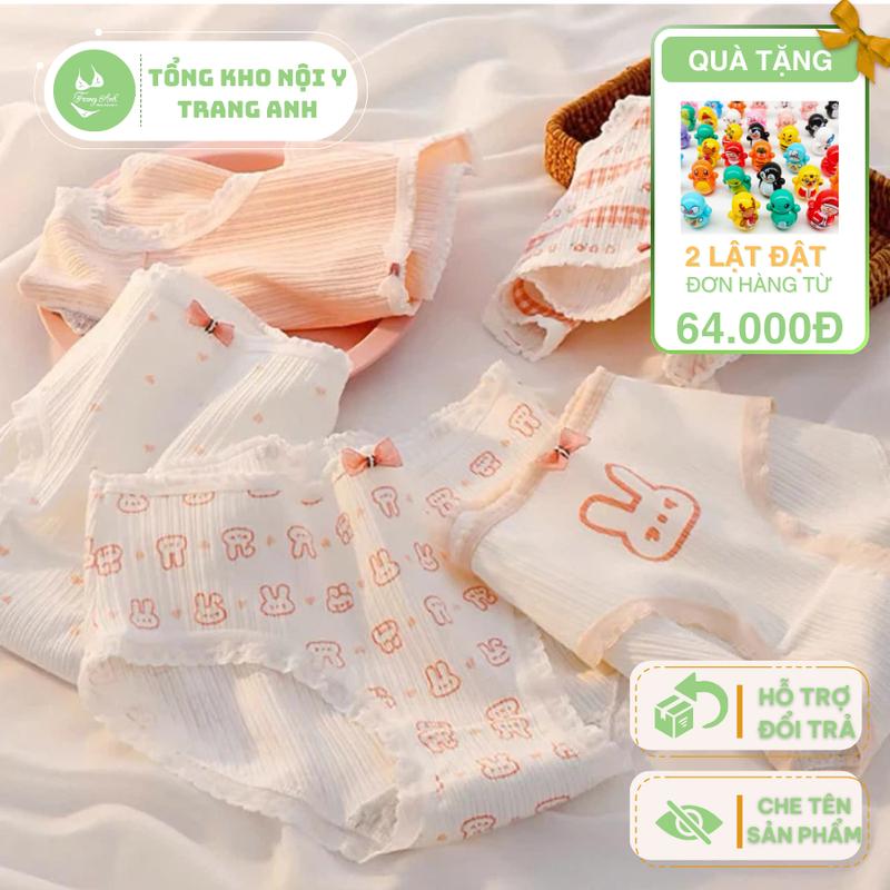 Combo 10 (có tách lẻ 5 quần) Quần Chip Cho Bé Gái Chất Thun Tăm Mềm Mịn Thoáng Khí, Viền Ren Không Ngứa, Hình Thỏ Hồng Đáng Yêu Size 25-62kg quần ren chíp CTB06
