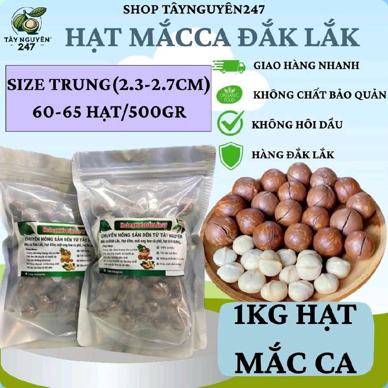 ComBo Hạt Mắc Ca Đắk Lắk Size Trung 2.3-2.7cm Sấy Chín Còn Vỏ 60-65Hạt 500gr Snack Ăn Vặt Macca Nuts Foods Hạt Dinh Dưỡng Thức Ăn