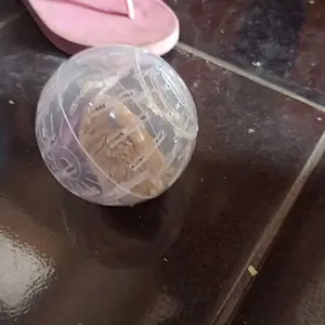 Silent Pet Exercise Wheel for Hamsters, Guinea Pigs & Rabbits – Ideal for Small Animal Fitness