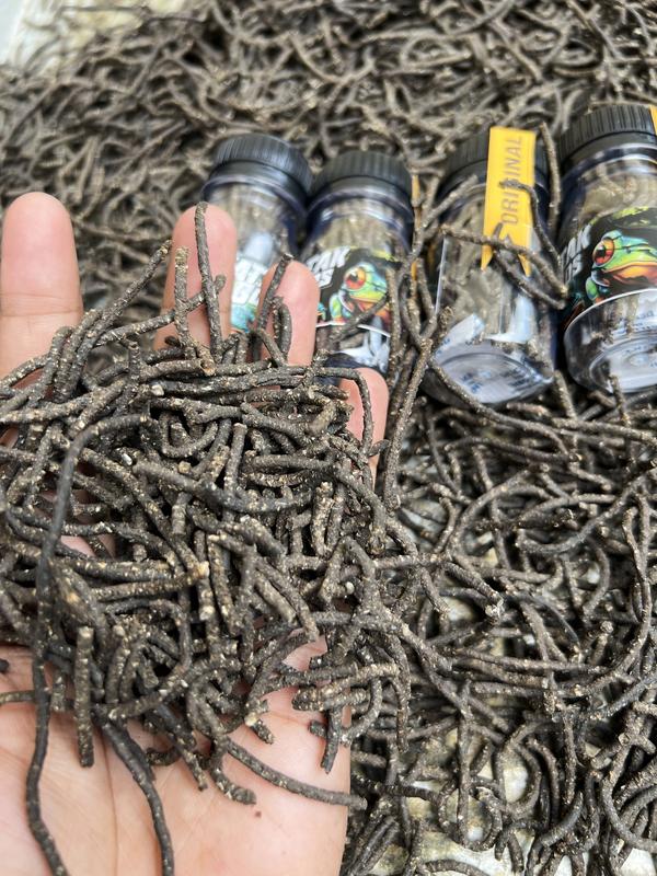 PELET KATAK 100% CALSIUM / PAKAN IKAN BY BOS BOS QU 5