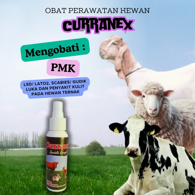 Obat Semprot Gudik Kambing Dan Sapi Untuk Hewan Terkena Virus PMK kuku 2