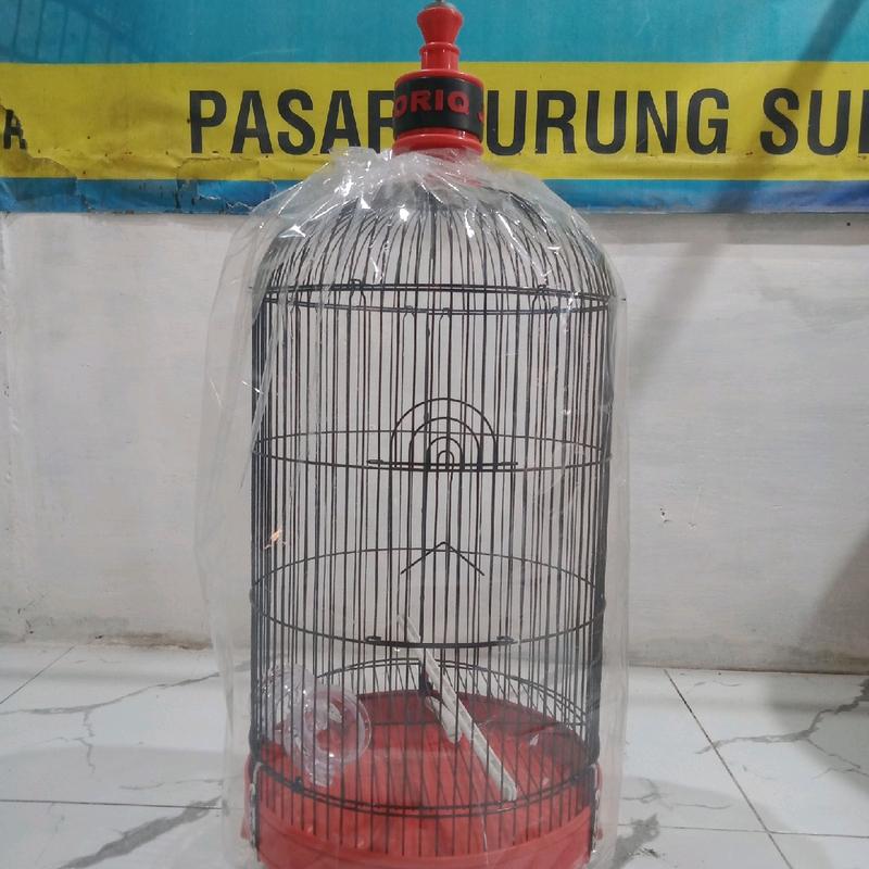 sangkar levebird oriq jaya vpc poloss bahan tebel ukuran lebar 33x33cm pengiriman seruruh indonesia 2