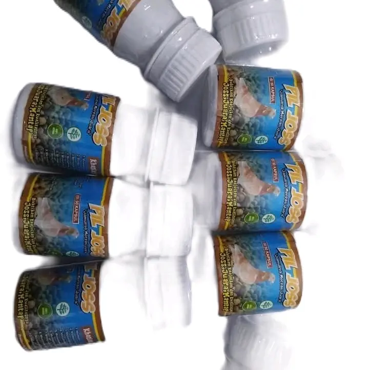 Pil joss 88   merupakan obat herbal untuk merpati supaya sehat dan menambah stamina 7