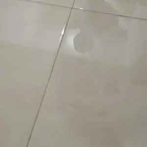 2 PCS PEPSODENT JUMBO 225 Gram Hemat 50% Pencegah Gigi Berlubang 10X Lebih Kuat