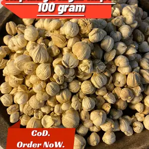 kapulaga kering 100gr / kapol / cardamon / bumbu masak / rempah