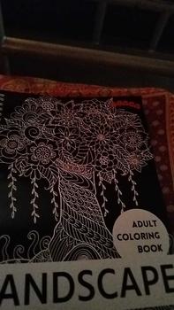 Product Review of Adult Coloring Book Landscape Panorama, Buku Mewarnai Dewasa Pemandangan Anti Stress from F**h N**a 0