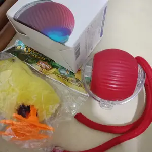 Mainan Ayam Berjalan  Mainan anak ayam patok lucu Mainan Kucing Anjing Dolls Toys