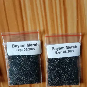 Benih Sayur Sayuran Benih Seribuan Varian Lengkap