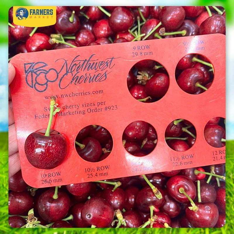 [Trái cây nhập khẩu] Cherry đỏ Mỹ size 10 - Cherry đầu mùa, ngọt xen lẫn chua, cứng trái cuống xanh 2