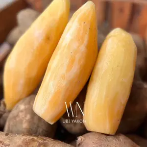 Ubi Yakon Besarr 1kg isi 1-3 bergaransi - Food