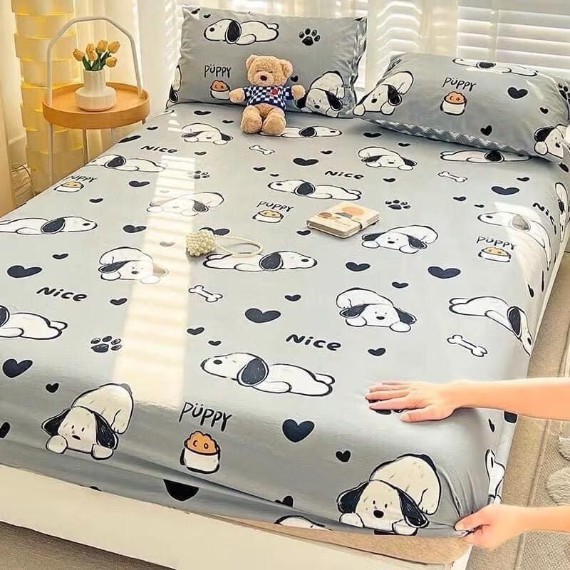 Product Introduction of Bộ ga gối 3 món poly cotton, Bộ ga giường + 2 vỏ gối,  Drap giường 1m6, 1m8 2m nhiều họa tiết, mẫu mới 4