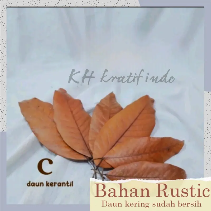 Bahan prakarya kerajinan dan kesenian / Rustic Daun kering bersih / seni keindahan / keterampilan / rustic kesenian yang indah / bahan dasar daun kering Hiasan 3