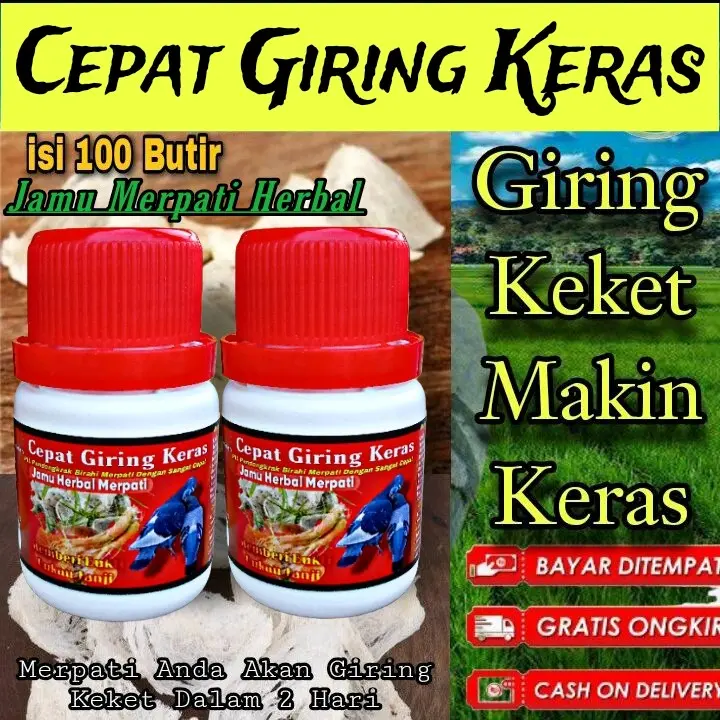 JAMU MERPATI CEPAT GIRING KERAS isi 100 butir sarang walet ferfect power jamu ginseng teki hff rjb xes4 elite 99 extra JP 6