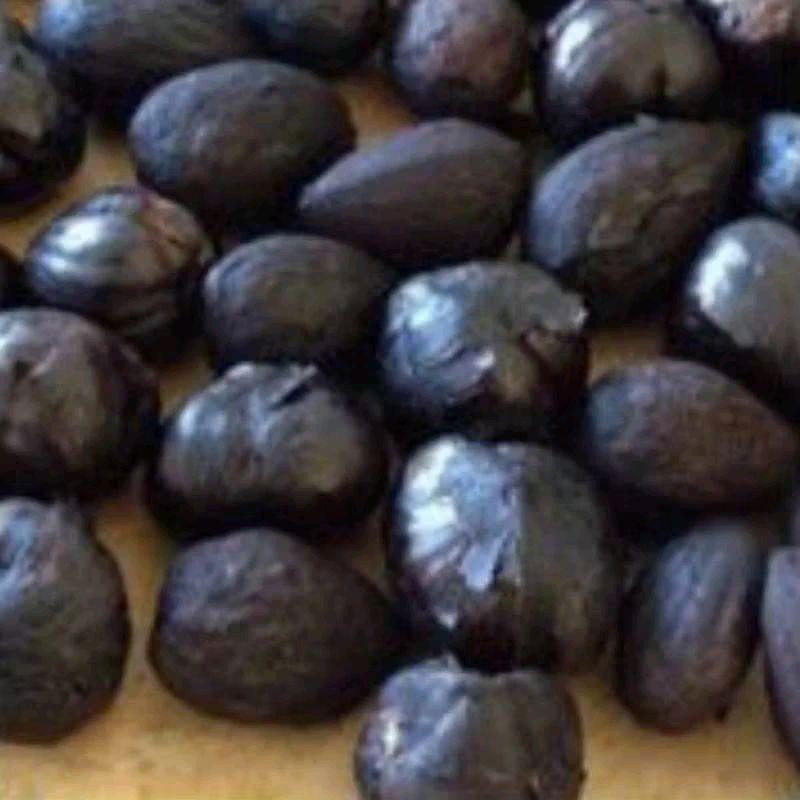 Minyak Kemiri Bakar Khas Aceh  Hitam Ketombe Rontok Kering 2