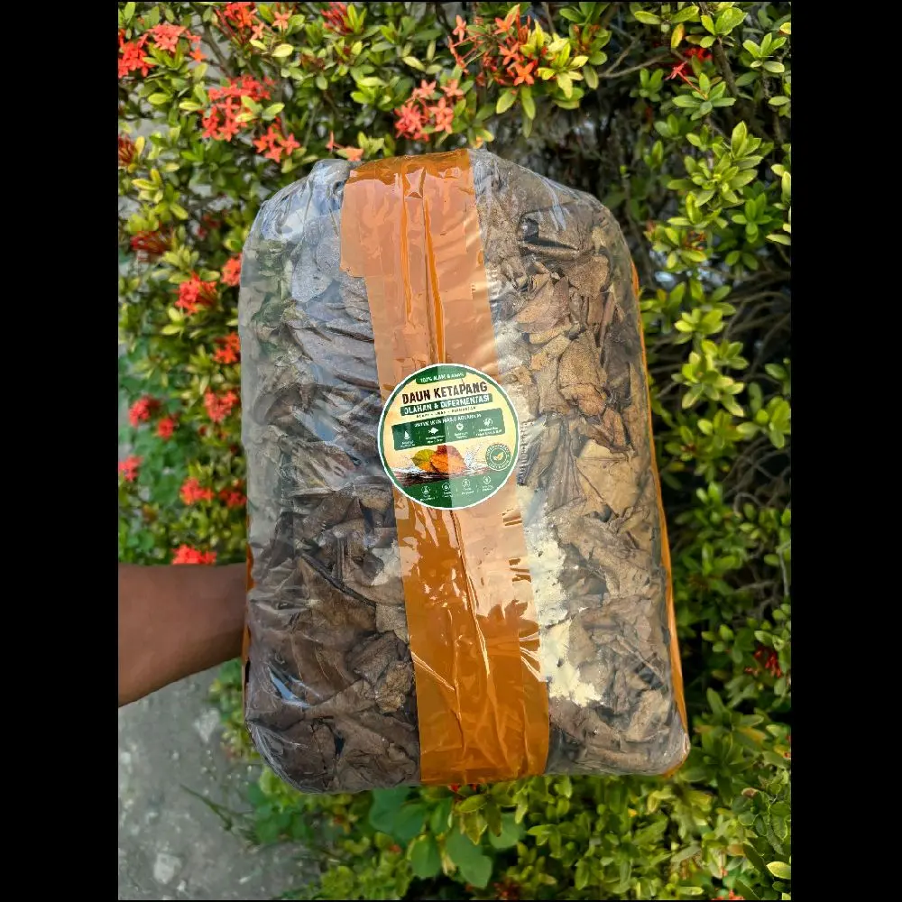 Daun Ketapang Olahan & Difermentasi 100% Alami Aman Bermanfaat untuk Ikan Hias dan Aquarium 1KG