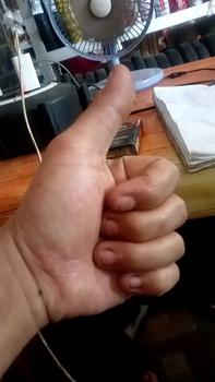 Product Review of WINGLET miniatur bus plastik  ANTI GASRUK from R**g 0