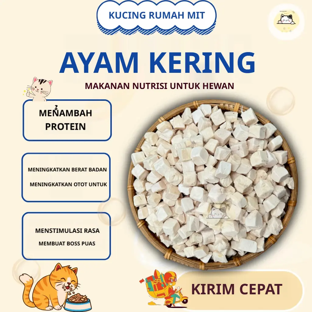 Freeze Dried Chicken Cubes Snack Anjing Snack Kucing Camilan Hewan Peliharaan Beku Kering Makanan Kucing Anjing Kucing Makanan Kering Beku Daging Kering 500g