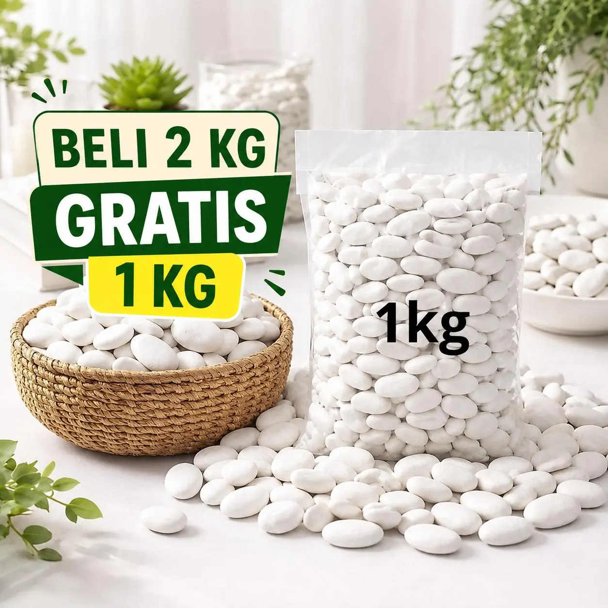 BATU HIAS KORAL PUTIH KUPANG kemasan repack 1 kg beli 2KG GRATIS 1KG untuk Dekorasi Taman Kafe Pot Bunga Kolam Ikan Aquarium Lantai Dinding Carport Garasi Kuburan