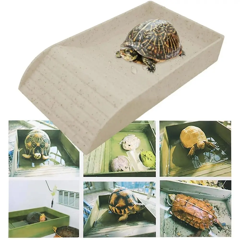 Fish Basking Platform Decoration With Platform Reptile Water Bowl Burr-free Smooth Turtle Feeding Basin With Slope Turtle Tank Tortoise