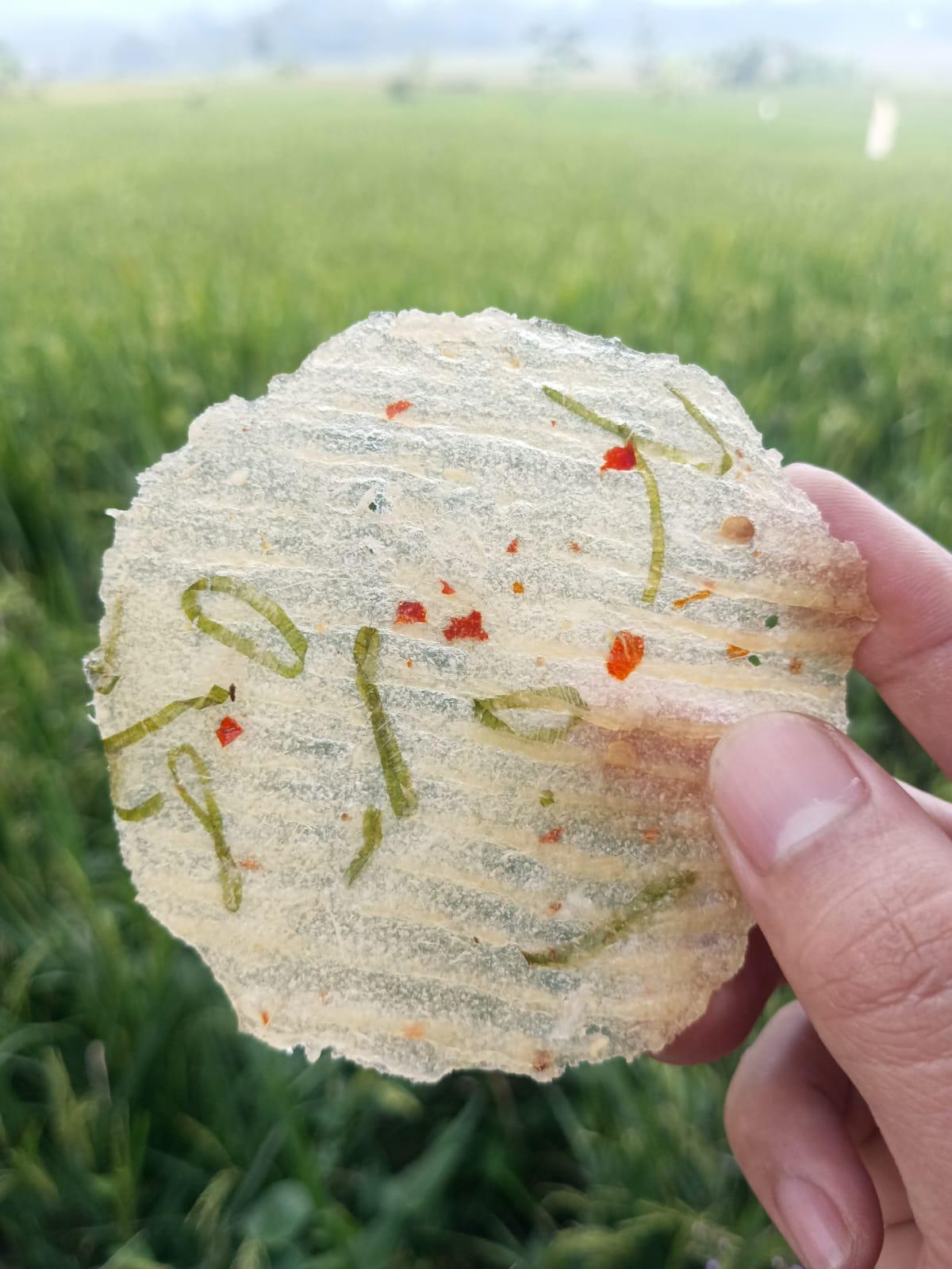 Kicimpring Singkong Mentah Bawang Cabai Gurih dan Renyah Camilan Kering Cemilan Kerupuk Snacks Makanan Keripik Pedas Food Kripik Opak Singkong Manis Asin enak