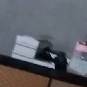 CMC[C-503]Rak DOMI kosmetik putih tempat makeup storage tempat penyimpanan skincare