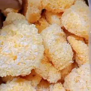 Jamur Salju Curah 250 gram - Produk Makanan