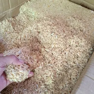 ikan asin udang rebon atau larong