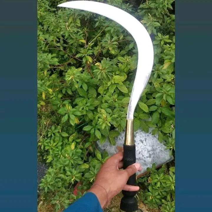 takabuh madura cincin kuning 60cm lengkap sarung ok