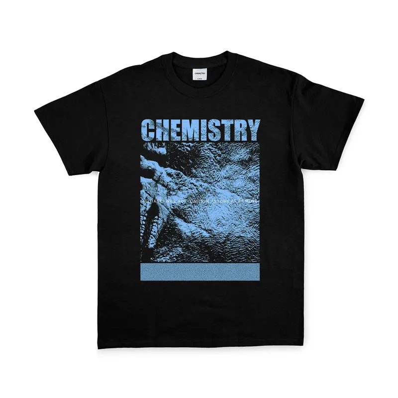 Chemistry Straight - T-Shirt - Fossil Black 0