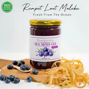 500gr SEA MOSS GEL BLUEBERRY