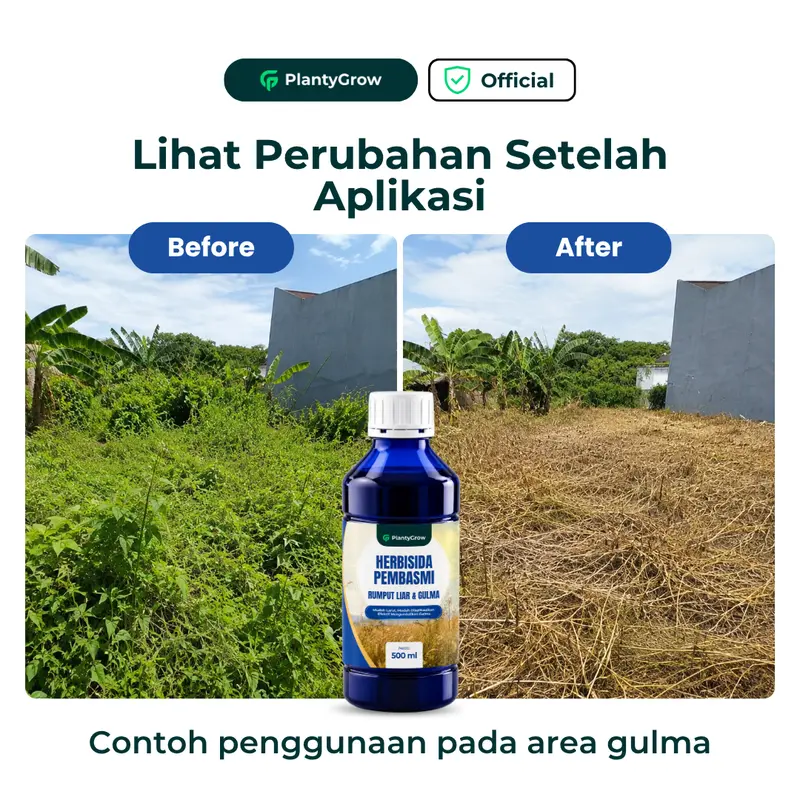 NEW Herbisida Nexalon Kontak Pembasmi Rumput Liar & Gulma 500ml - Bantu Basmi Gulma Daun Lebar & Sempit, Praktis & Mudah Dicampur Air - PLANTYGROW