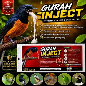 GURAH INJECT 10menit lendir keluar | mengobati burung suara berat atau serak