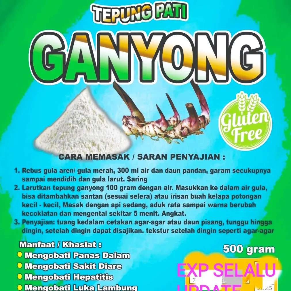 TEPUNG PATI GANYONG Herbal ASAM LAMBUNG UNTUK PENDERITA MAAG Bubuk bubur Bahan terigu free gluten sagu butir garut madu obatalami dan
