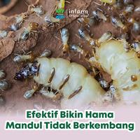Gambar INFARM - Pestisida Nabati Organik 1000ml, Pembasmi Hama dan Jamur Ramah Lingkungan dari Infarm Kota Surabaya 3 Tokopedia