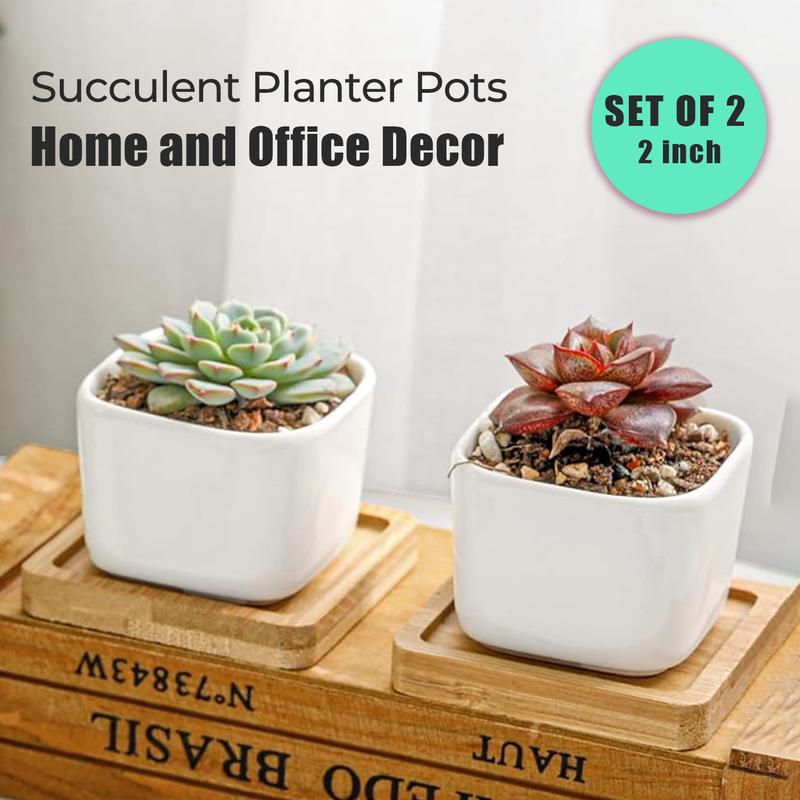 White Jar Shape Design Ceramic Succulent Plant Pot/Cactus Plant Pot With Bamboo Tray, Set of 2 White Jar Shape Design Ceramic Succulent Plant Pot/Cactus Plant Pot With Bamboo Tray, Set of 2